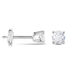 Boucles D'oreilles Puces Victoria Or Blanc Diamant - Clous d'oreilles Femme | Histoire d’Or