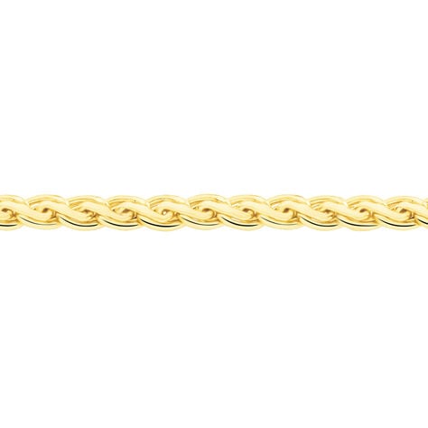 Collier Jayna Maille Palmier Or Jaune - Chaines Femme | Histoire d’Or