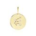 Pendentif Or Jaune Astraea Oxyde De Zirconium - Pendentifs Zodiaque Femme | Histoire d’Or