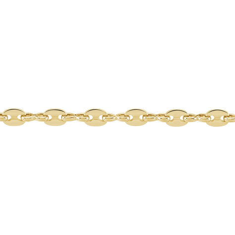 Collier William Plaqué Or Jaune - Chaines Femme | Histoire d’Or
