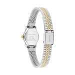 Montre Calvin Klein Ck Contemporary Vert - Montres Femme | Histoire d&rsquo;Or
