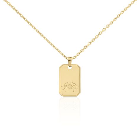 Collier Plaqu&eacute; Or Quintien - Colliers Zodiaque Homme | Histoire d&rsquo;Or