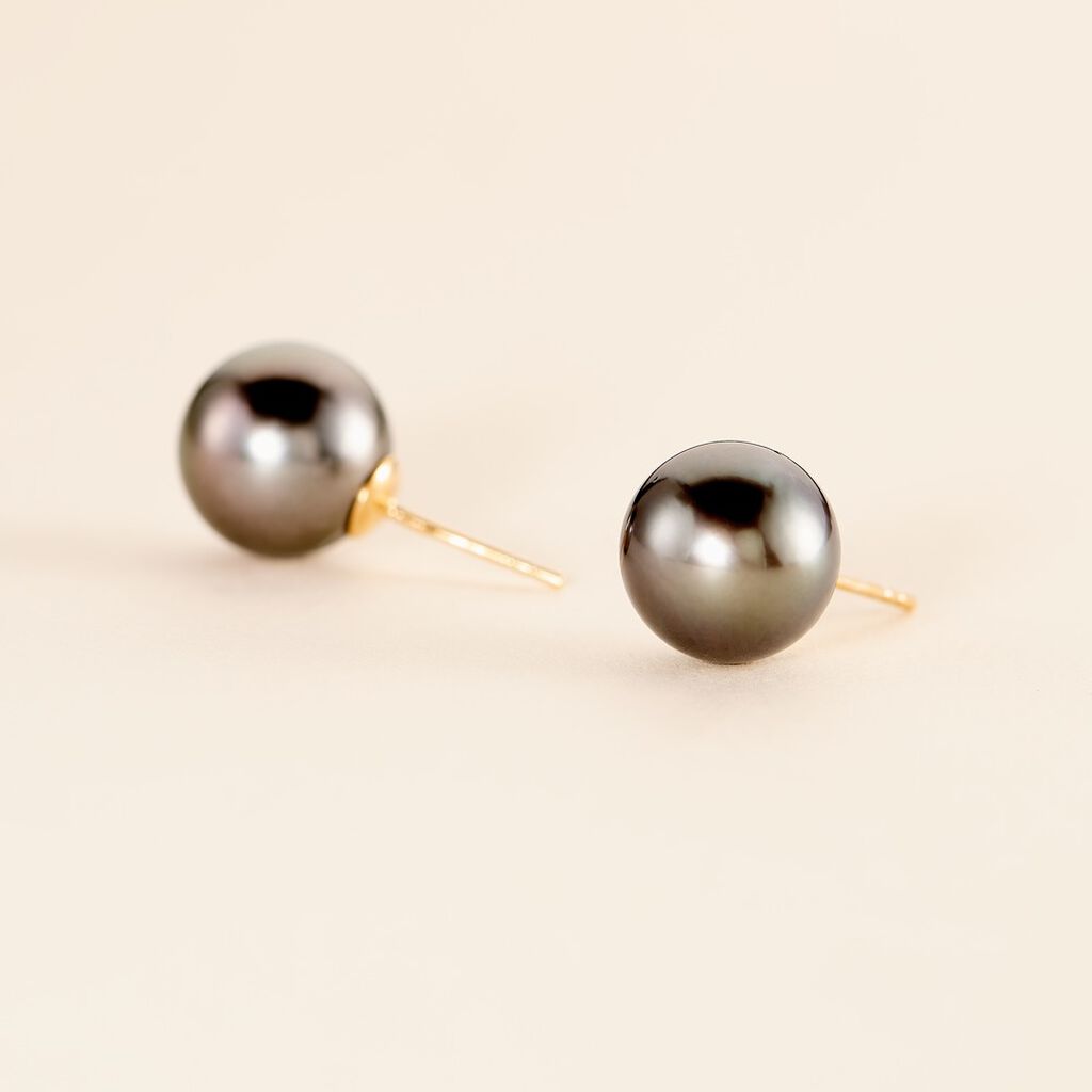 Boucles D'oreilles Puces Alper Or Jaune Perle De Culture De Tahiti - Clous d'oreilles Femme | Histoire d’Or