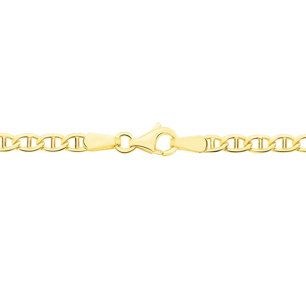 Collier Capucin Or Jaune Maille Marine Plate - Chaines Homme | Histoire d’Or