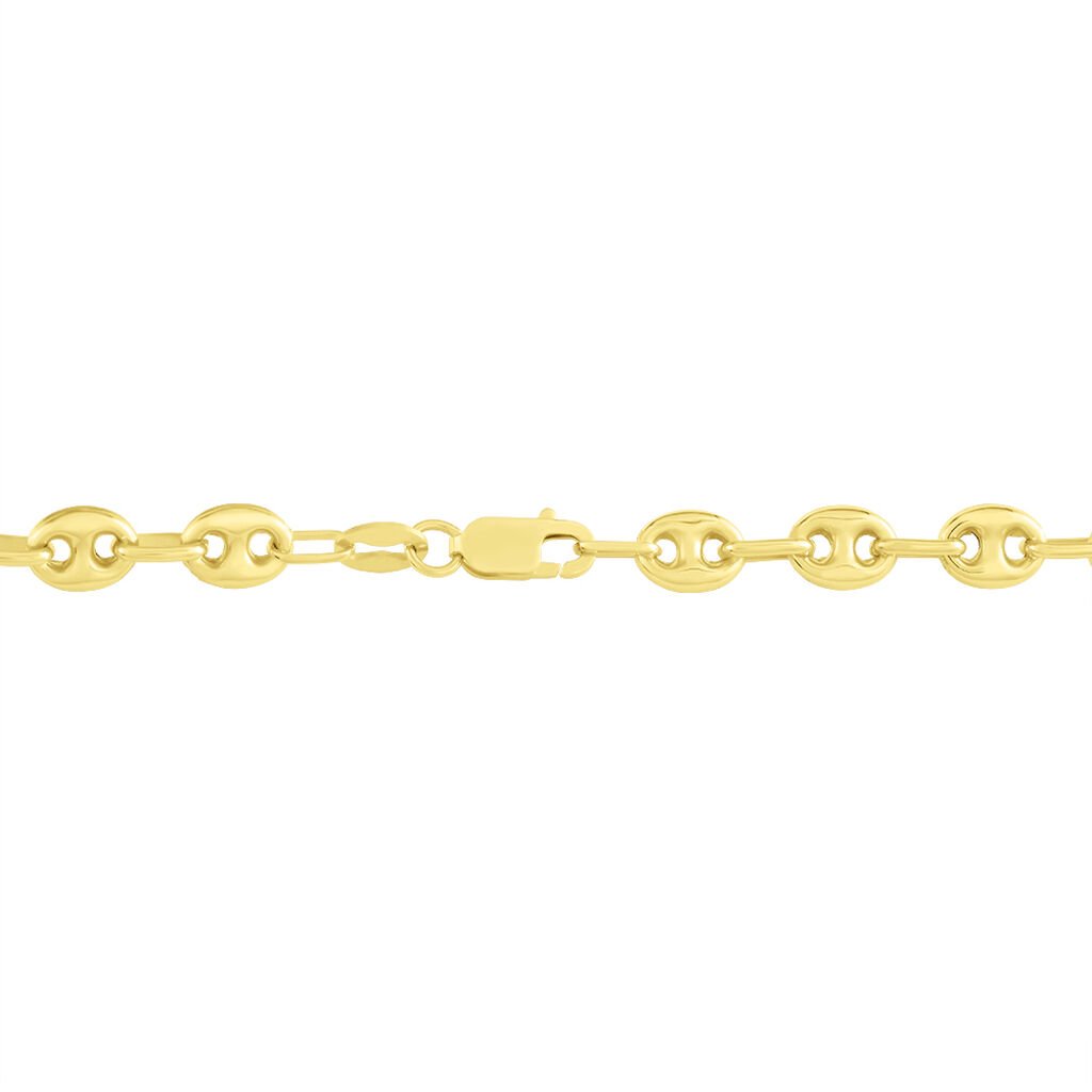 Collier Maille Dami Or Jaune - Chaines Femme | Histoire d’Or