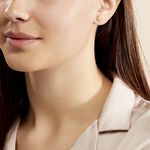 Boucles D'oreilles Puces Alphonsine Etoile De Mer Or Jaune - Clous d'oreilles Femme | Histoire d&rsquo;Or