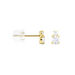 Boucles D'oreilles Puces Constancia Or Jaune Oxyde De Zirconium - Clous d'oreilles Femme | Histoire d’Or