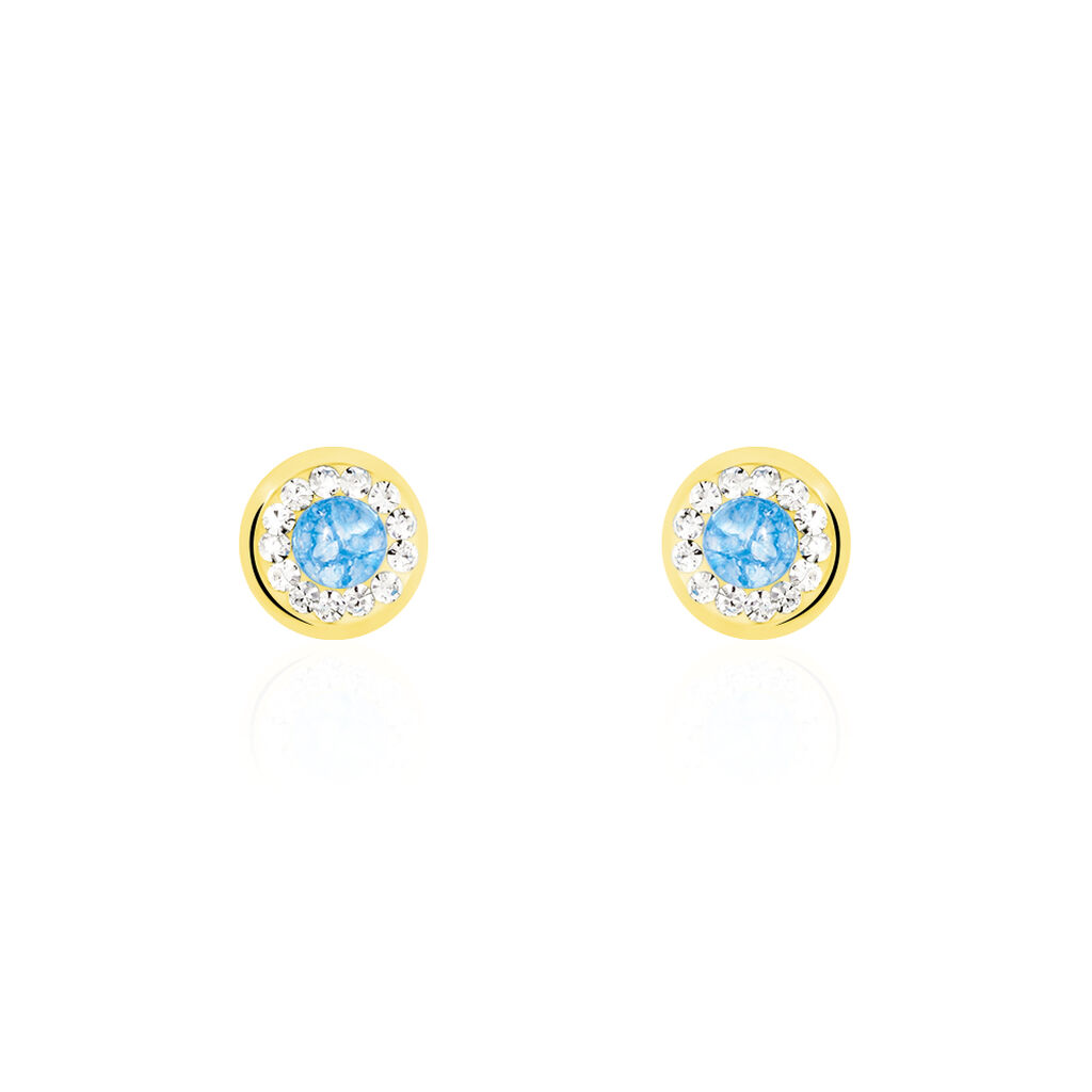 Boucles D'oreilles Amazone Or Jaune Email Strass - Clous d'oreilles Femme | Histoire d’Or