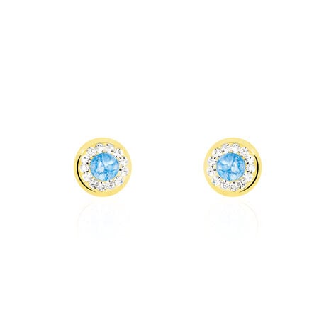 Boucles D'oreilles Amazone Or Jaune Email Strass - Clous d'oreilles Femme | Histoire d’Or