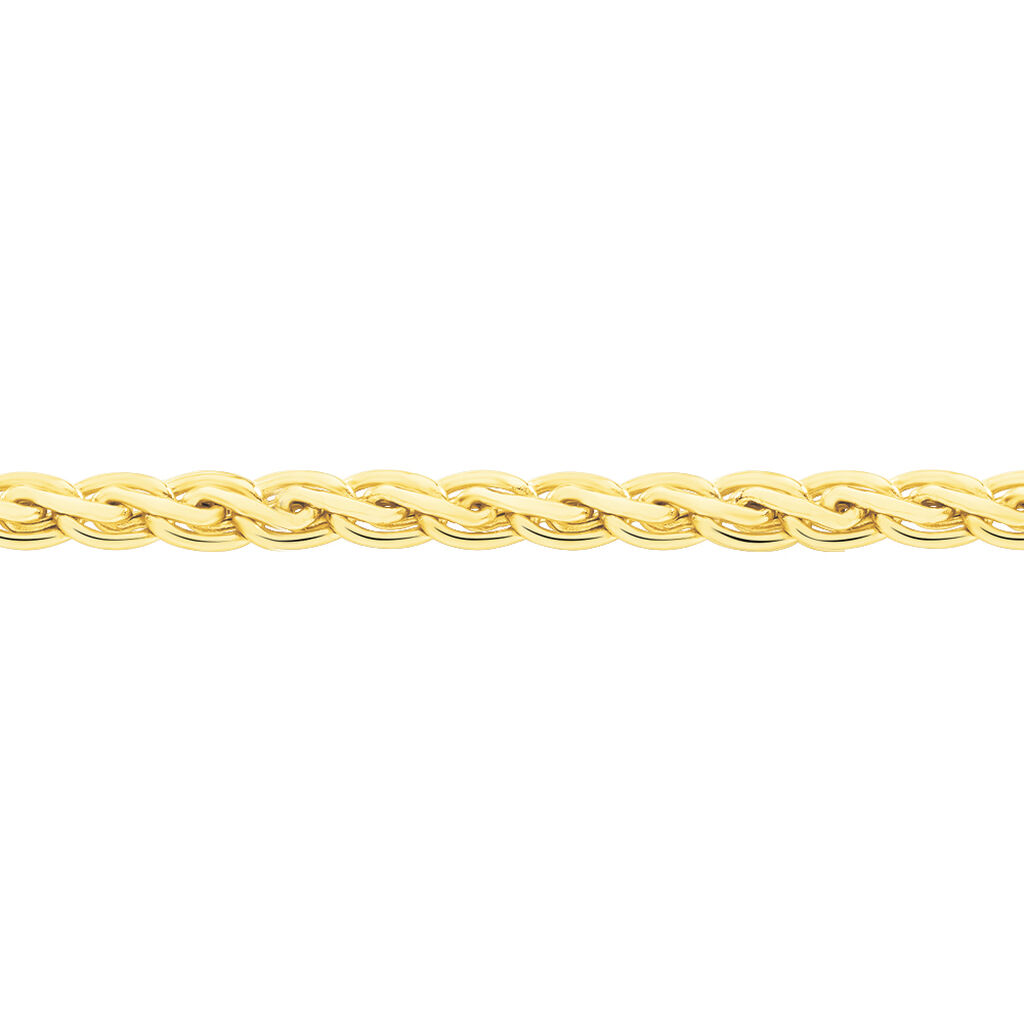 Collier Jayna Maille Palmier Or Jaune - Chaines Femme | Histoire d&rsquo;Or