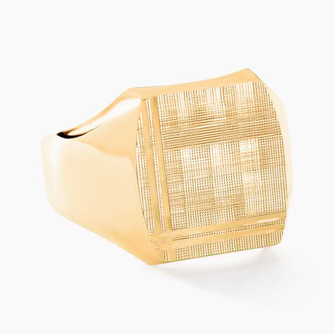 Chevali&egrave;re Jackson Or Jaune - Chevali&egrave;res Famille | Histoire d&rsquo;Or