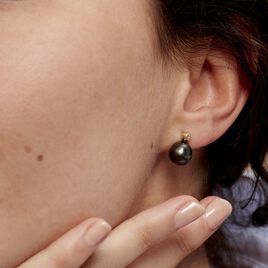 Boucles D'oreilles Puces Baroque Or Jaune Perle De Culture De Tahiti - Clous d'oreilles Femme | Histoire d’Or