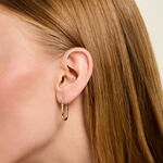 Cr&eacute;oles Allgia Acier Jaune Oxyde De Zirconium - Boucles d'oreilles cr&eacute;oles Femme | Histoire d&rsquo;Or