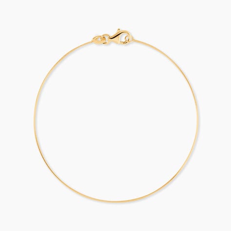 Bracelet Olearia Or Jaune - Bracelets cha&icirc;ne Femme | Histoire d&rsquo;Or