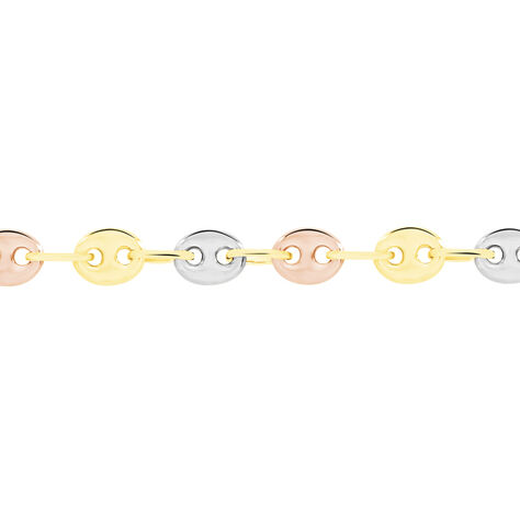 Collier Maille Dami Maille Grain De Cafe Or Tricolore - Chaines Femme | Histoire d’Or