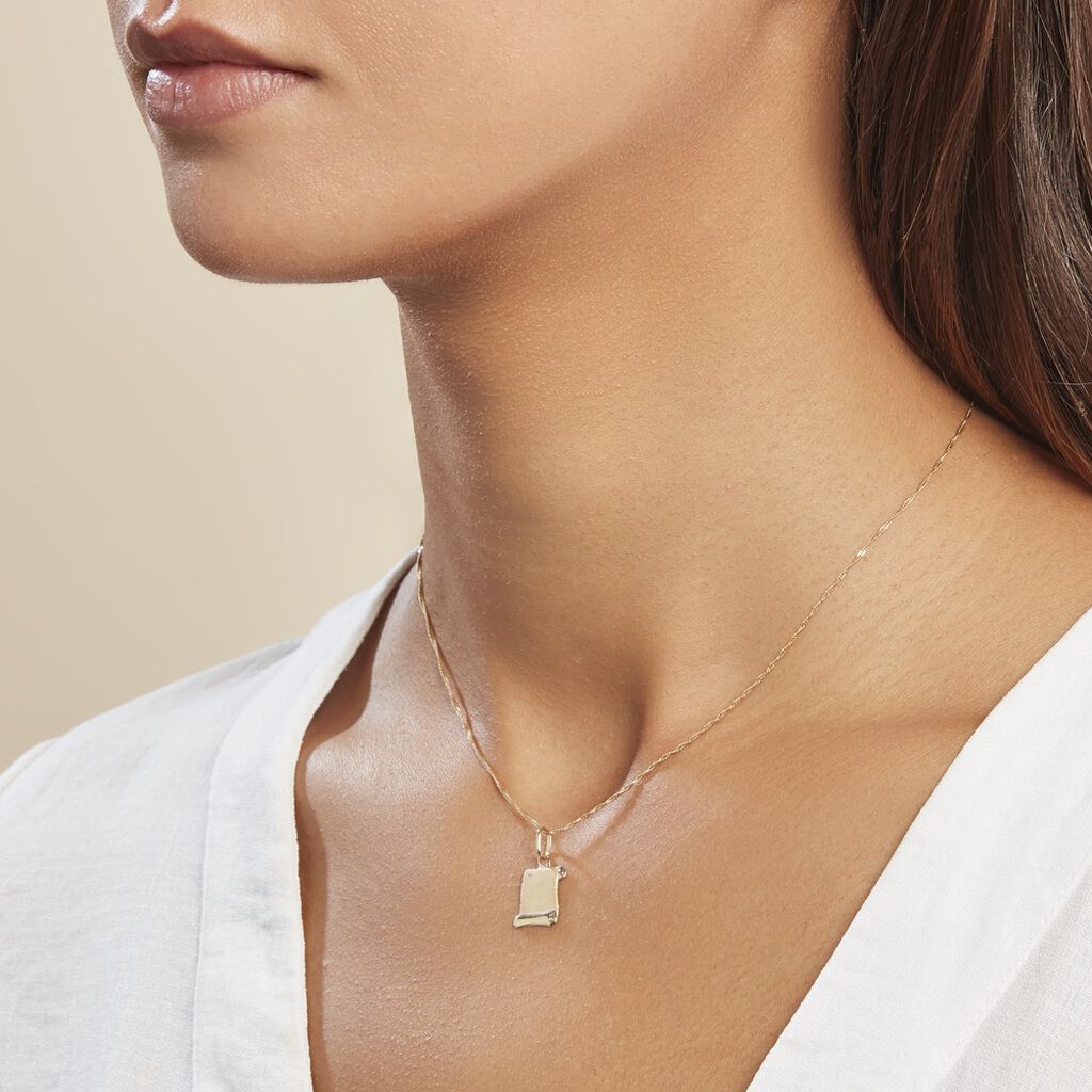 Pendentif Lamie Zodiaque Parchemin Or Jaune - Pendentifs Zodiaque Famille | Histoire d’Or