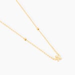 Collier Fenton Or Jaune Oxyde De Zirconium - Colliers Famille | Histoire d&rsquo;Or