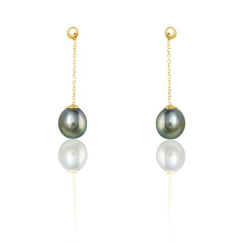 Boucles D'oreilles Puces Marie-noela Or Jaune Perle De Tahiti - Boucles d'oreilles pendantes Femme | Histoire d’Or