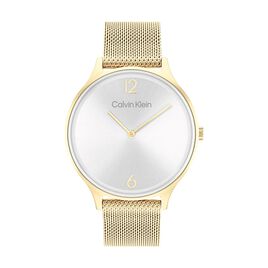 Montre Calvin Klein Timeless 2h Argent - Montres Femme | Histoire d’Or