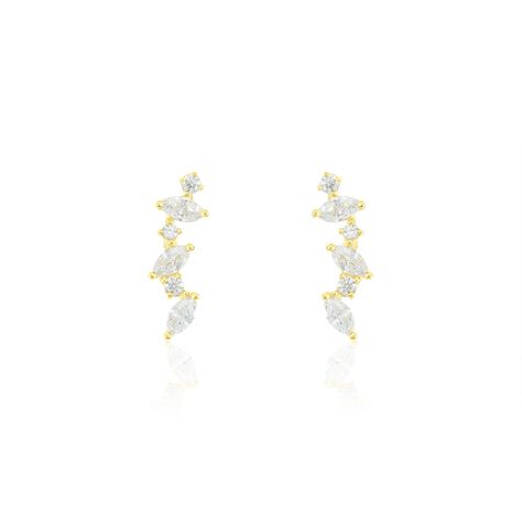 Boucles D'oreilles Puces Or Jaune Fortunella Oxydes De Zirconium - Clous d'oreilles Femme | Histoire d’Or