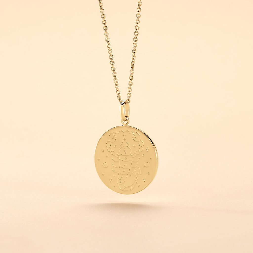 Collier Astro Plaqu&eacute; Or - Colliers Zodiaque Femme | Histoire d&rsquo;Or