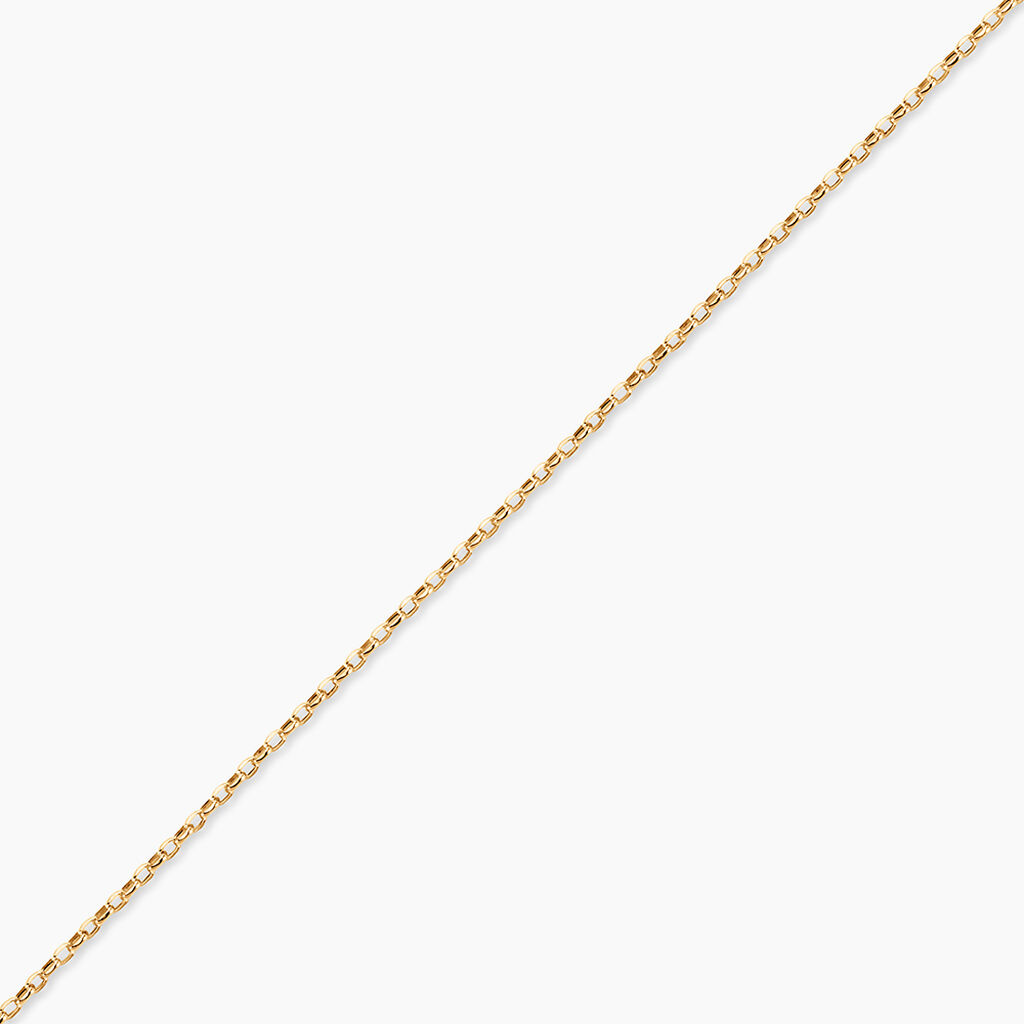 Cha&icirc;ne De Cheville Maille Jaseron Or Jaune - Cha&icirc;nes de cheville Femme | Histoire d&rsquo;Or