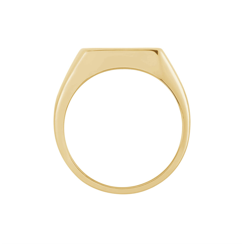 Chevali&egrave;re Kauai Plaqu&eacute; Or Jaune Pierre De Synthese - Bagues solitaires Homme | Histoire d&rsquo;Or