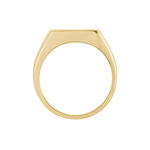 Chevali&egrave;re Kauai Plaqu&eacute; Or Jaune Pierre De Synthese - Bagues solitaires Homme | Histoire d&rsquo;Or