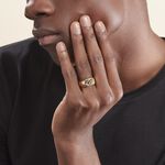 Chevali&egrave;re Plaqu&eacute; Or Jaune Gyorgy Oxyde De Zirconium - Bagues solitaires Homme | Histoire d&rsquo;Or