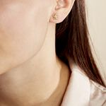 Boucles D'oreilles Puces Alphonsine Etoile De Mer Or Jaune - Clous d'oreilles Femme | Histoire d&rsquo;Or