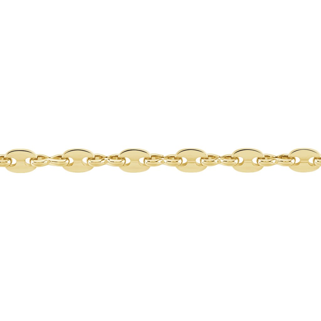 Collier William Plaqué Or Jaune - Chaines Homme | Histoire d’Or