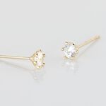 Boucles D'oreilles Puces Aconit Or Jaune Oxyde - Clous d'oreilles Femme | Histoire d&rsquo;Or
