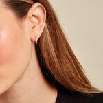 Cr&eacute;oles Valerina Or Jaune - Boucles d'oreilles cr&eacute;oles Famille | Histoire d&rsquo;Or