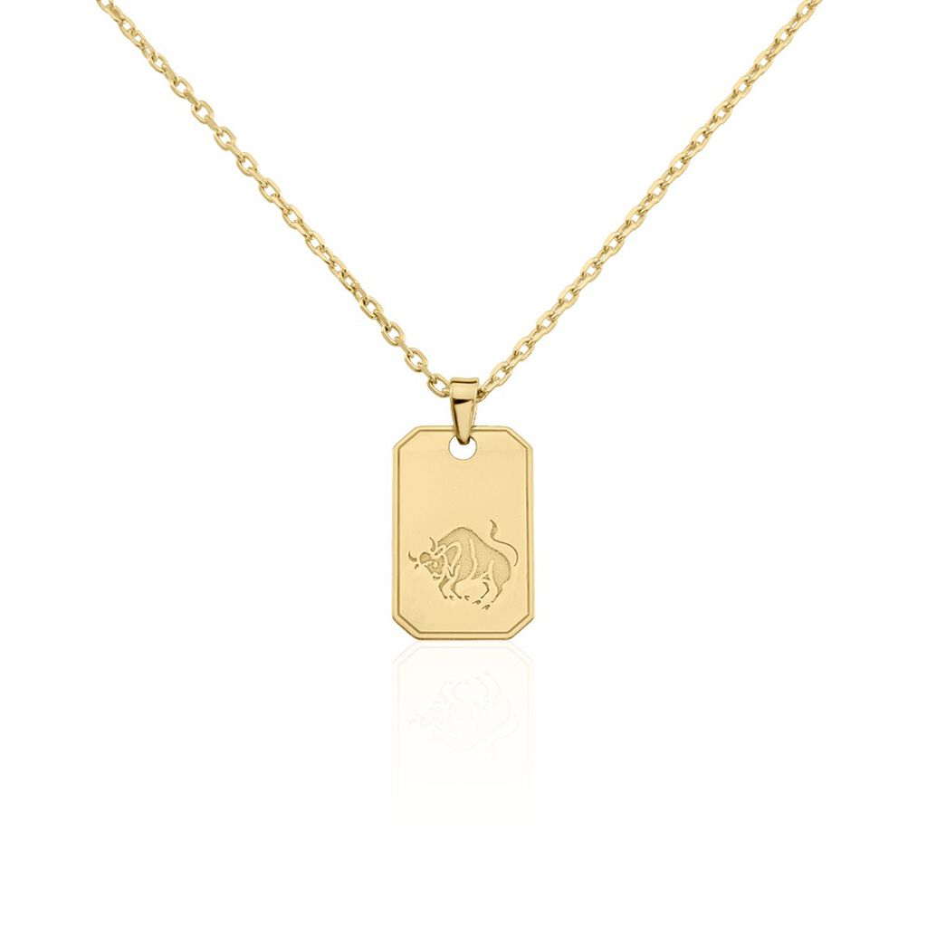 Collier PlaquÃ© Or Quintien
