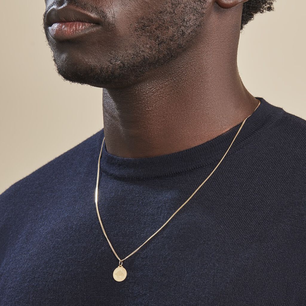 Pendentif Lamie Zodiaque Or Jaune - Pendentifs Zodiaque Unisex | Histoire d’Or