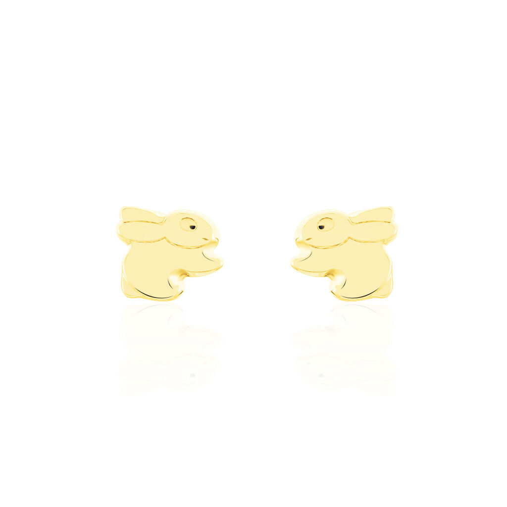 Boucles D'oreilles Puces Lapin Or Or Jaune