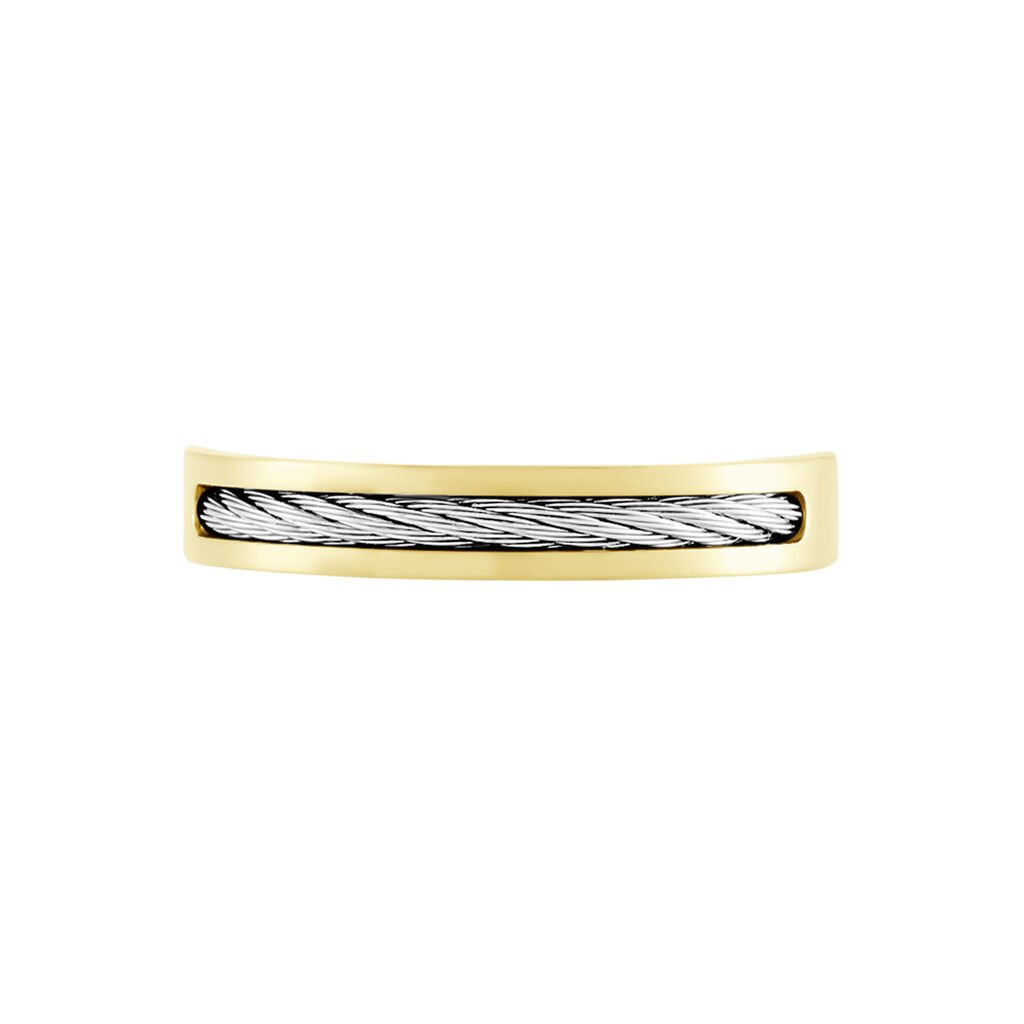 Bague Andro Acier Bicolore - Bagues fantaisie Homme | Histoire d’Or