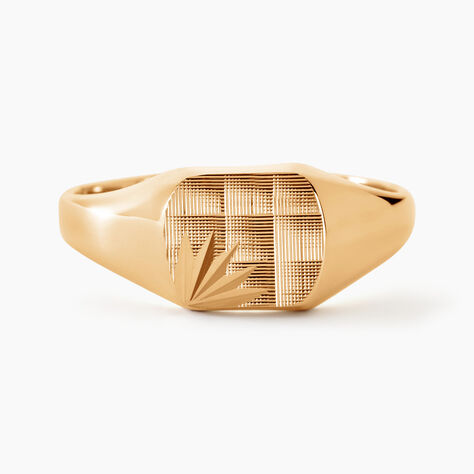 Chevali&egrave;re Henry Plaque Or Jaune - Chevali&egrave;res Homme | Histoire d&rsquo;Or