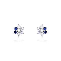 Boucles D'oreilles Puces Pavel Argent Blanc Oxyde De Zirconium