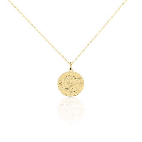 Collier Astro Plaqué Or - Colliers Femme | Histoire d’Or