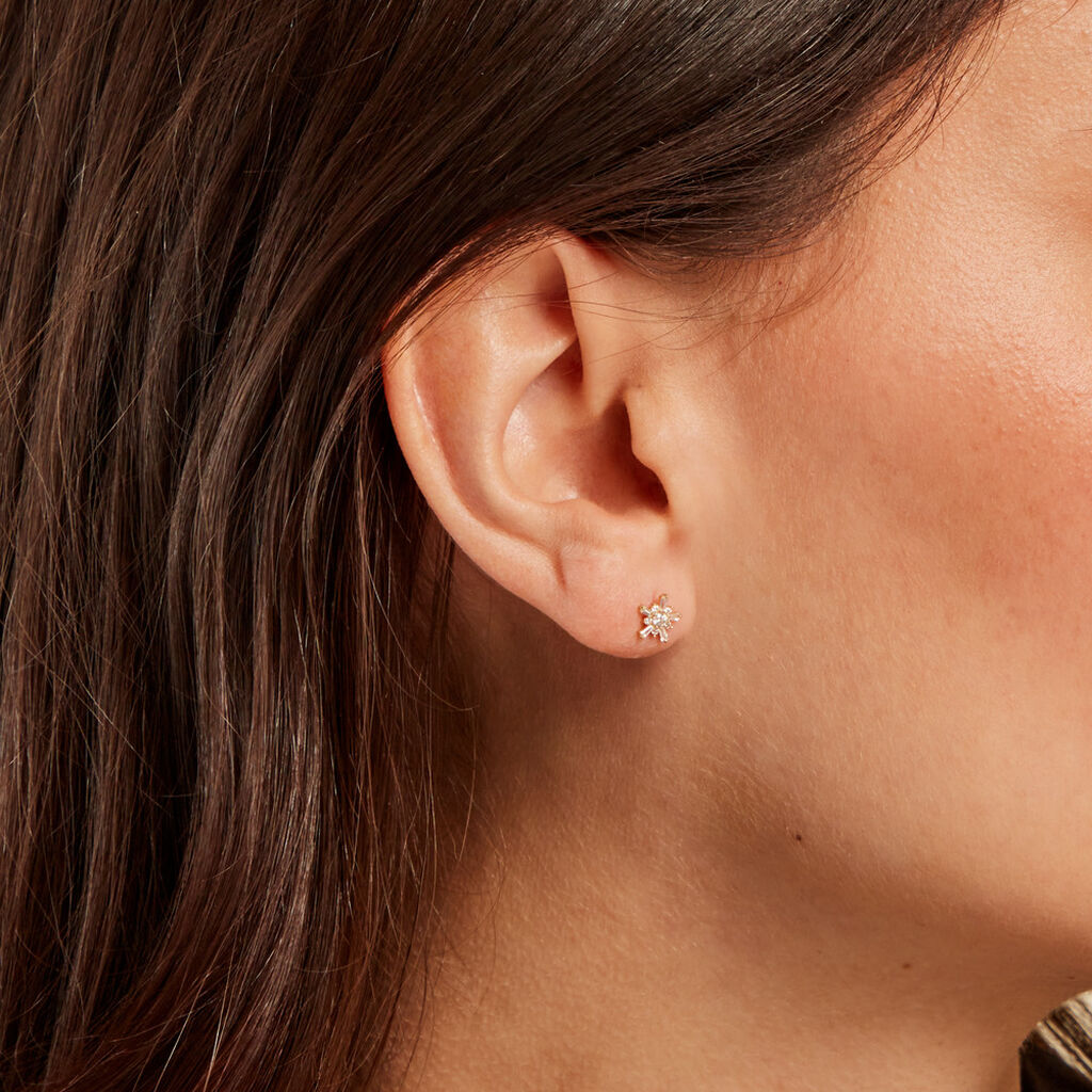 Boucles D'oreilles Puces Wen Or Jaune Oxyde De Zirconium - Clous d'oreilles Famille | Histoire d’Or