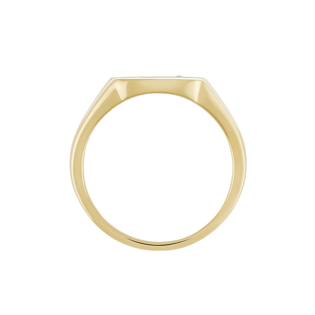 Chevali&egrave;re Plaqu&eacute; Or Khepri Oxyde De Zirconium - Bagues solitaires Homme | Histoire d&rsquo;Or