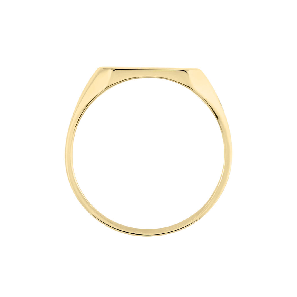 Chevali&egrave;re Plaqu&eacute; Or Jaune Alannis - Chevali&egrave;res Homme | Histoire d&rsquo;Or