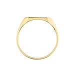 Chevali&egrave;re Plaqu&eacute; Or Jaune Alannis - Chevali&egrave;res Homme | Histoire d&rsquo;Or