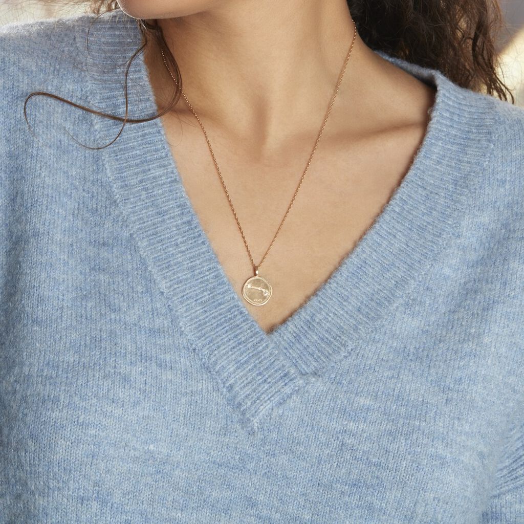 Collier Iago Plaqué Or Oxydes De Zirconium - Colliers Femme | Histoire d’Or