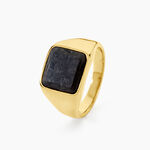 Chevali&egrave;re Blake Acier Dor&eacute; - Chevali&egrave;res Homme | Histoire d&rsquo;Or