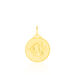 Pendentif Lamie Zodiaque Or Jaune - Pendentifs Zodiaque Unisex | Histoire d’Or