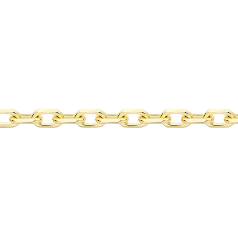 Chaine Henryk Or Jaune - Chaines Famille | Histoire d’Or