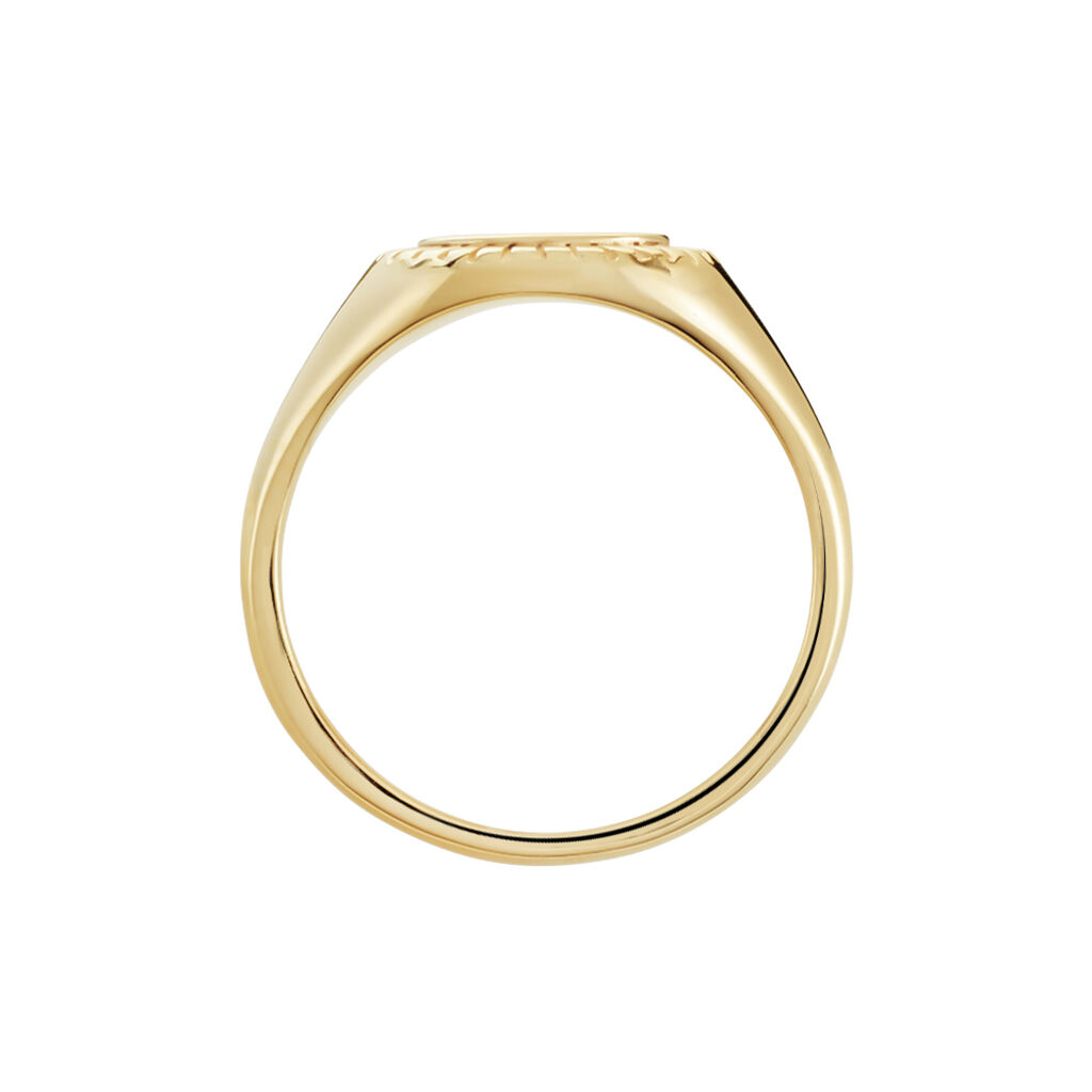 Chevali&egrave;re Plaqu&eacute; Or Jaune Louie - Chevali&egrave;res Homme | Histoire d&rsquo;Or