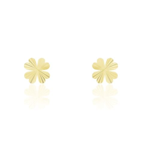 Boucles D'oreilles Puces Dag Or Jaune - Clous d'oreilles Femme | Histoire d’Or